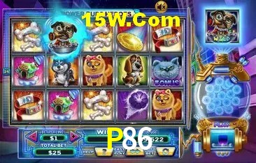P86 Salvador - Promo Stats